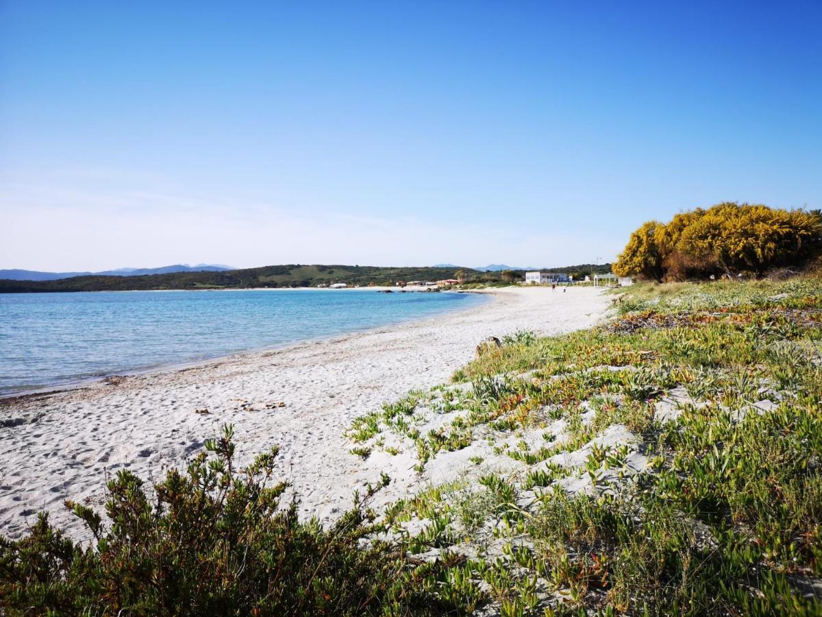 Insardinia House Trilocale A 200Mt Dalla Spiaggia Olbia Eksteriør billede