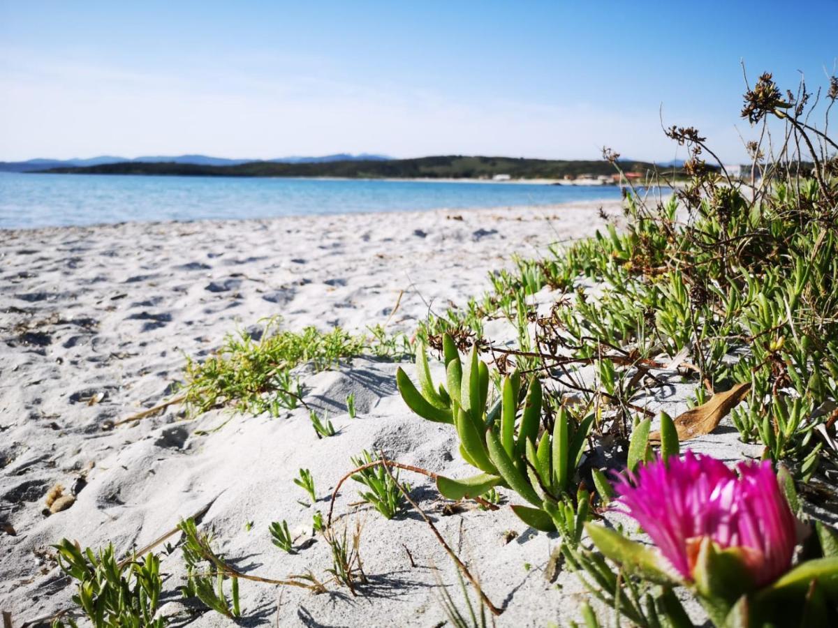 Insardinia House Trilocale A 200Mt Dalla Spiaggia Lejlighed Olbia Eksteriør billede